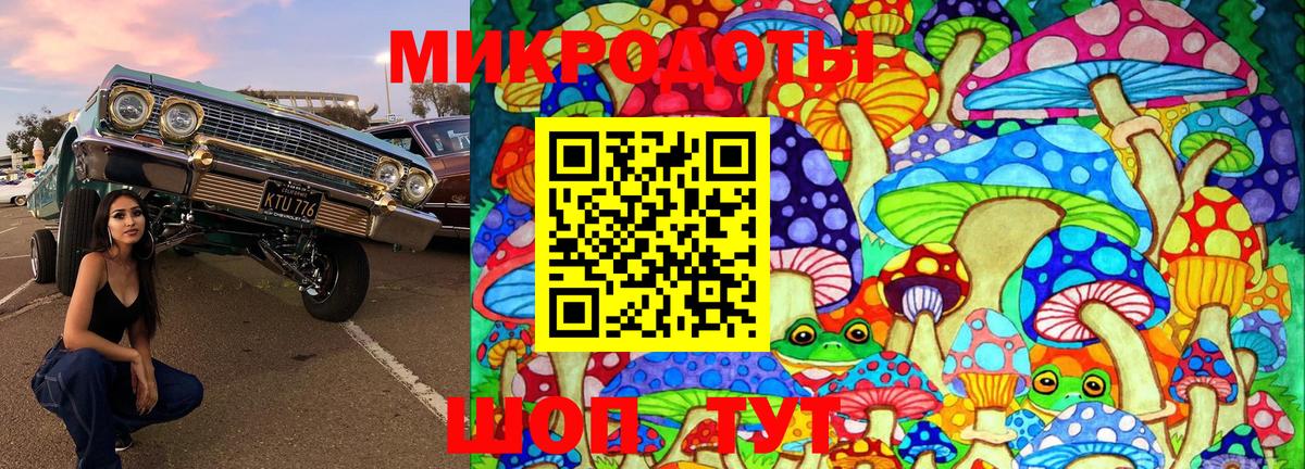 Алексин  Псилоцибиновые грибы мицелий  Вход с VPN  Псилоцибиновые грибы ЛСД 