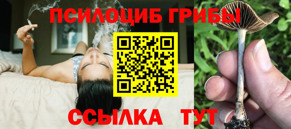 Галлюциногенные грибы мухоморы Алексин
